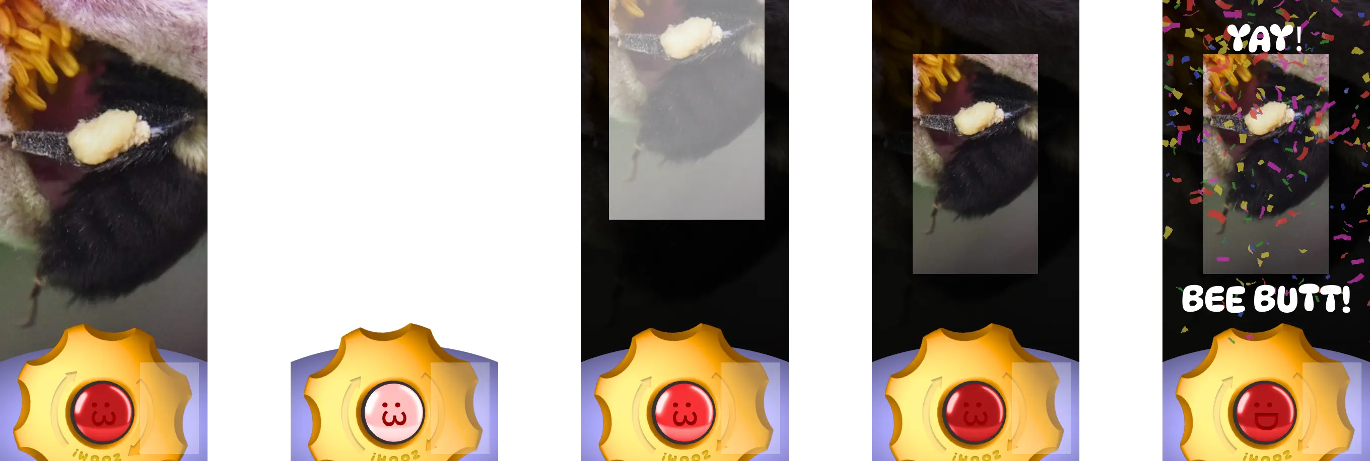 Shutter Keyframes